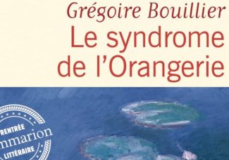 Grégoire Bouillier, Le syndrome de L’Orangerie